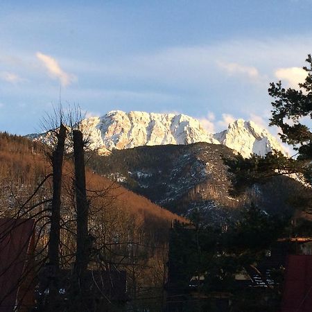 Dom Wypoczynkowy Jadzia Zakopane Dış mekan fotoğraf