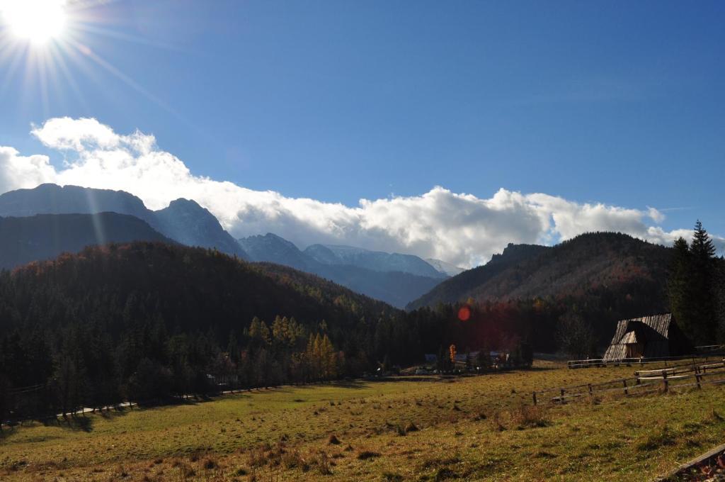 Dom Wypoczynkowy Jadzia Zakopane Dış mekan fotoğraf